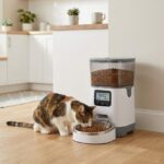 Automatisk foderautomat til kat sådan fungerer timer og portioner