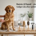 Børste til hund sådan vælger du børste efter pelstype
