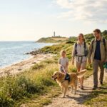 Ferie med hund idéer til en ferie hvor hunden kan komme med