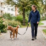 Hund i snor gode vaner til rolige gaature