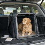 Hundekurv til bilen sådan vælger du størrelse og model